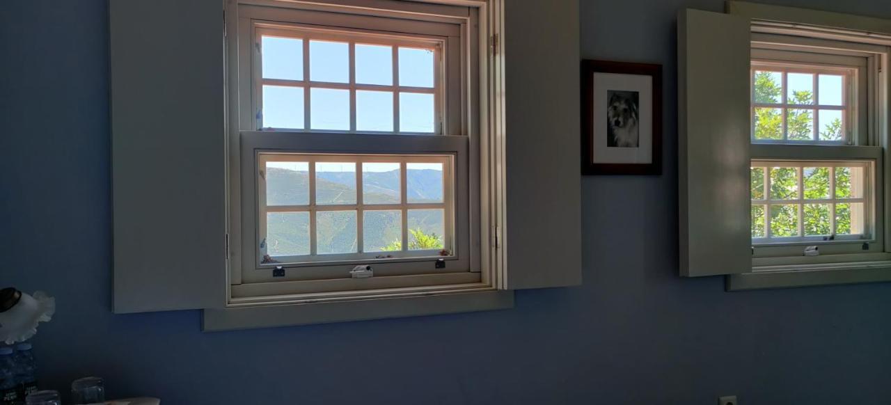 Vila Nazaré Panzió Castro Daire Kültér fotó